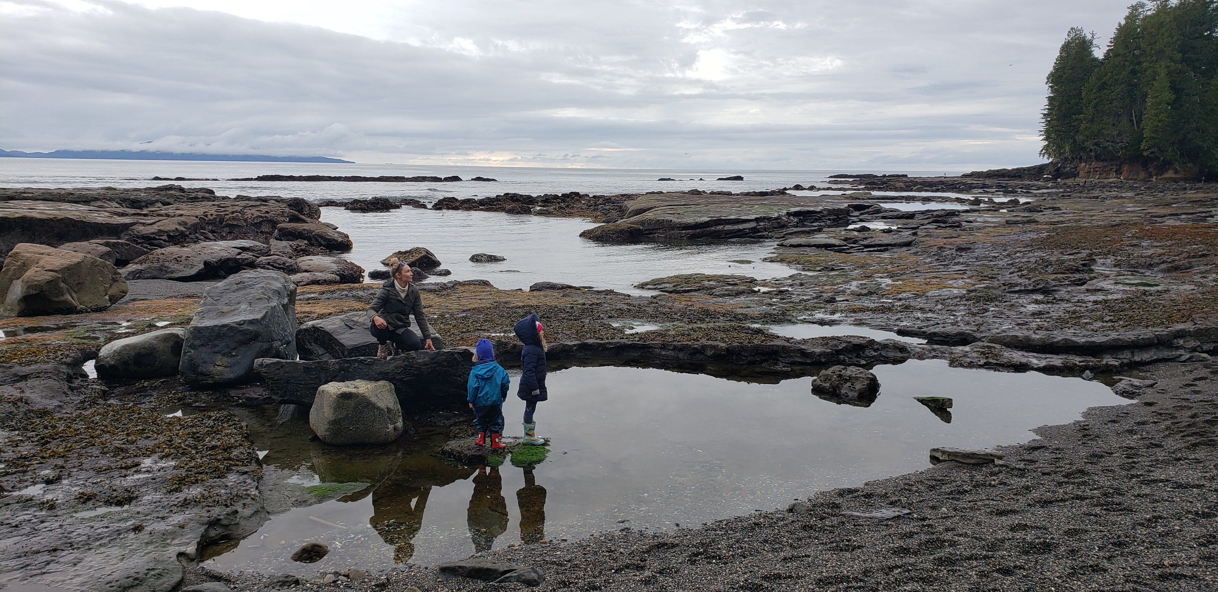 Tide pools at Botanical Beach, Port Renfrew BC — exposed sandstone pools at low tide