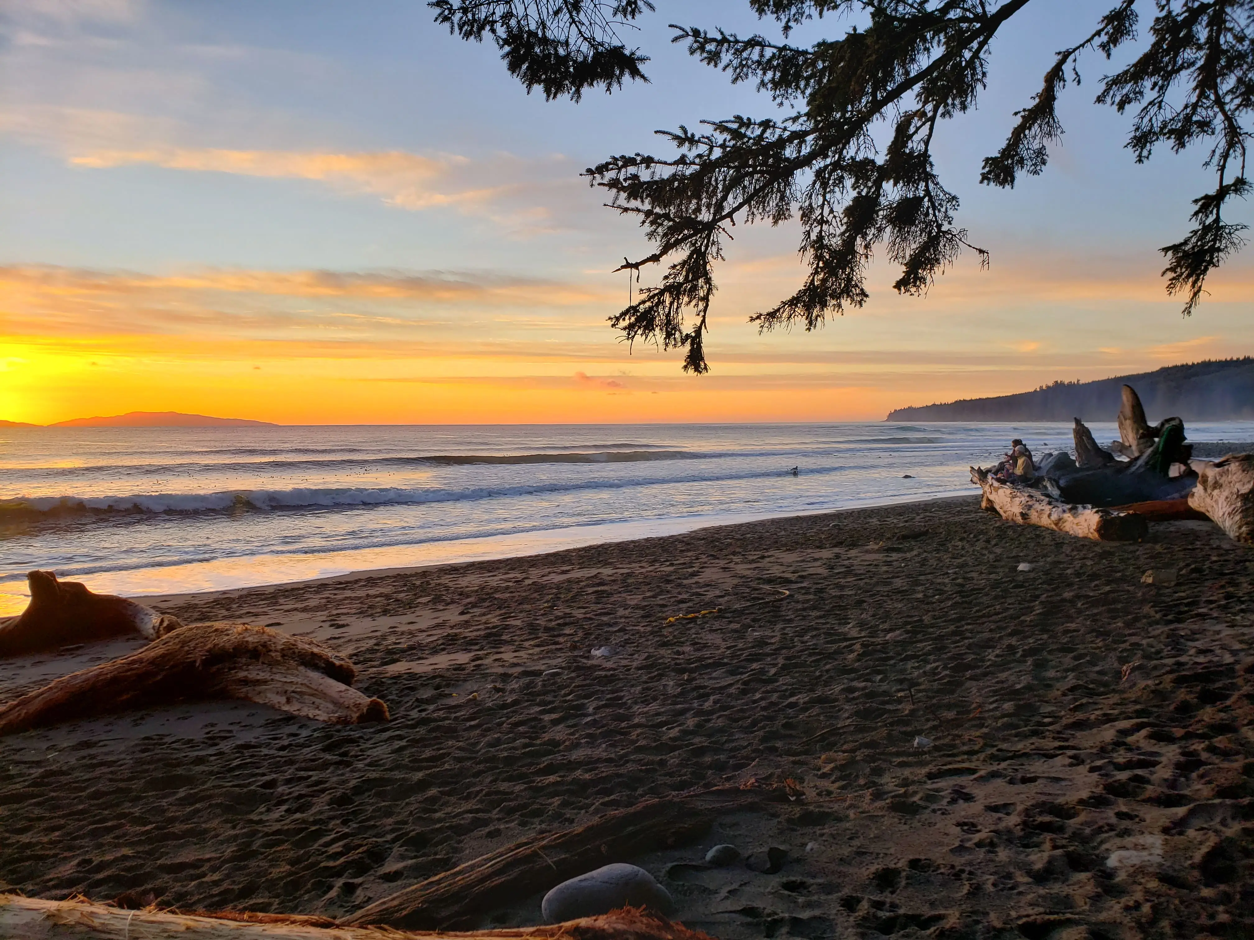 Sunset over Sombrio Beach with driftwood Vancouver Island BC near Port Renfrew