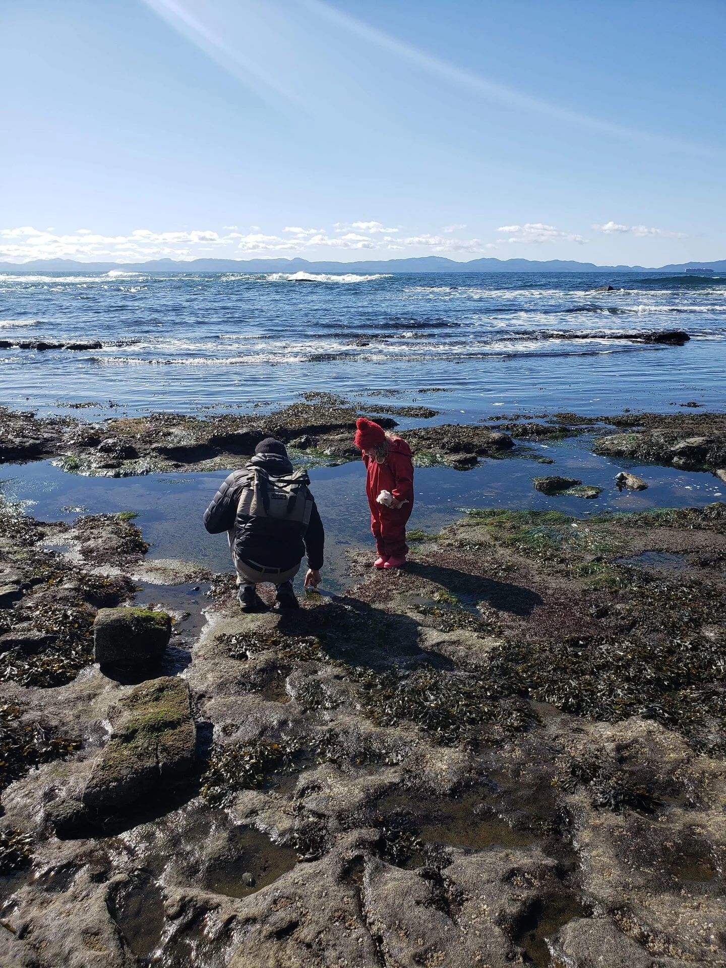Family crouching to explore a tide pool at Botanical Beach Port Renfrew BC