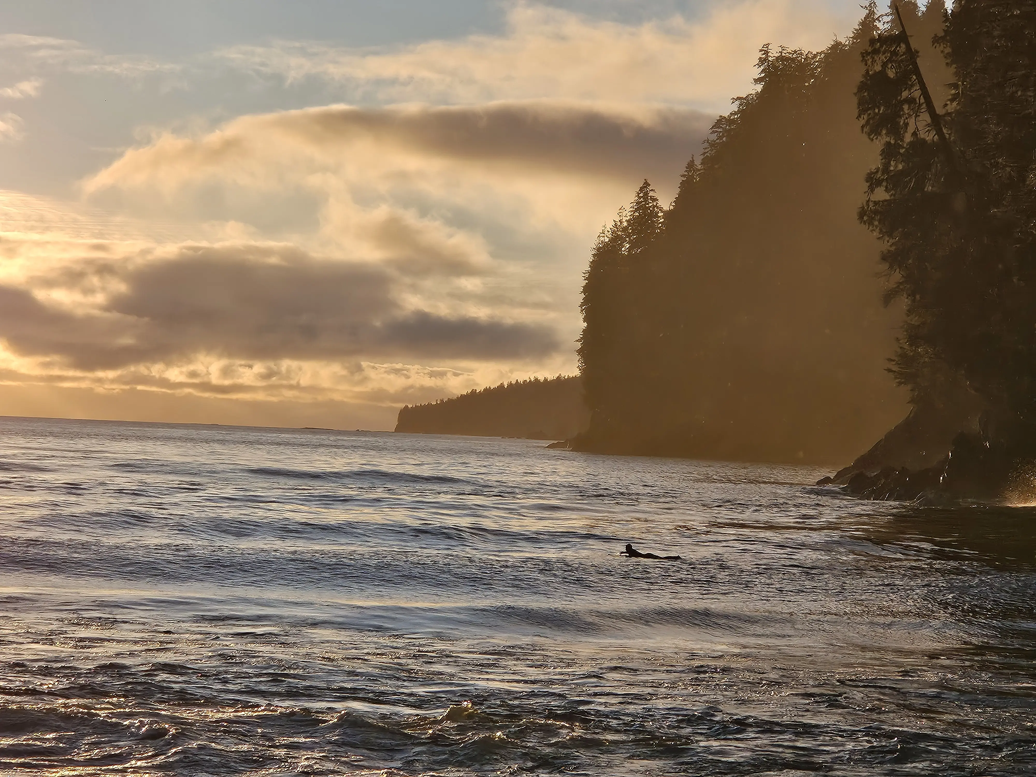 Golden hour light over Gordon River beach Port Renfrew BC near Rachael's Retreat cabin rental