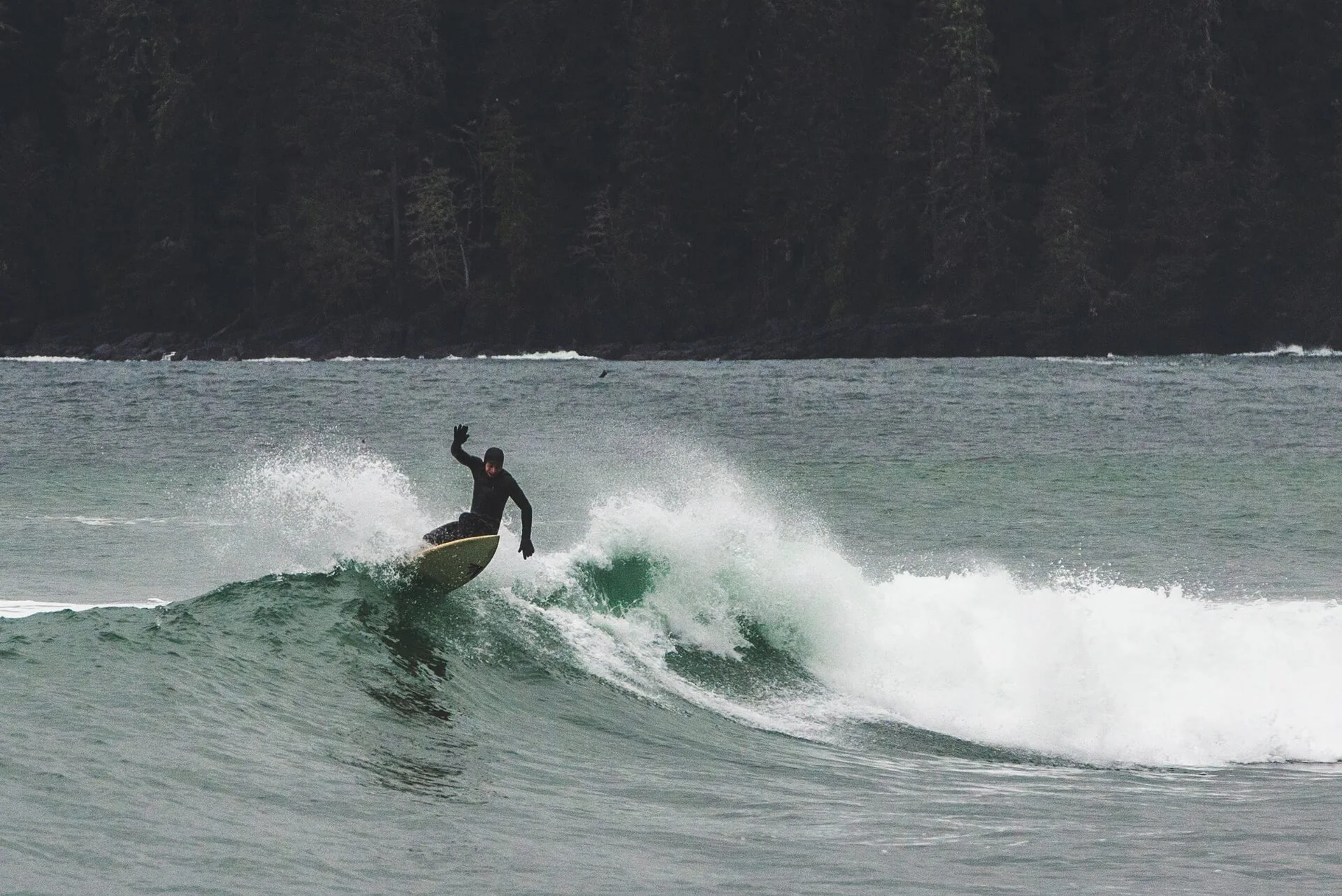 Surfing action at Sombrio Beach Vancouver Island near Port Renfrew