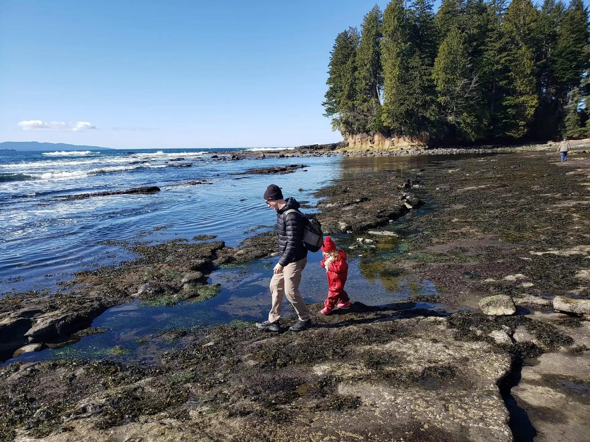 Guests exploring Botanical Beach tide pools Port Renfrew vacation